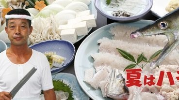 京都人夏天最愛吃鱧魚 Line購物