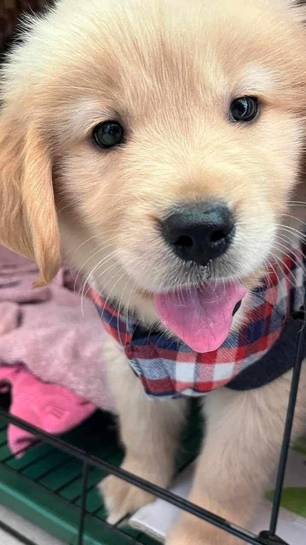 埔里-洗樂司自助洗衣店附設團購店