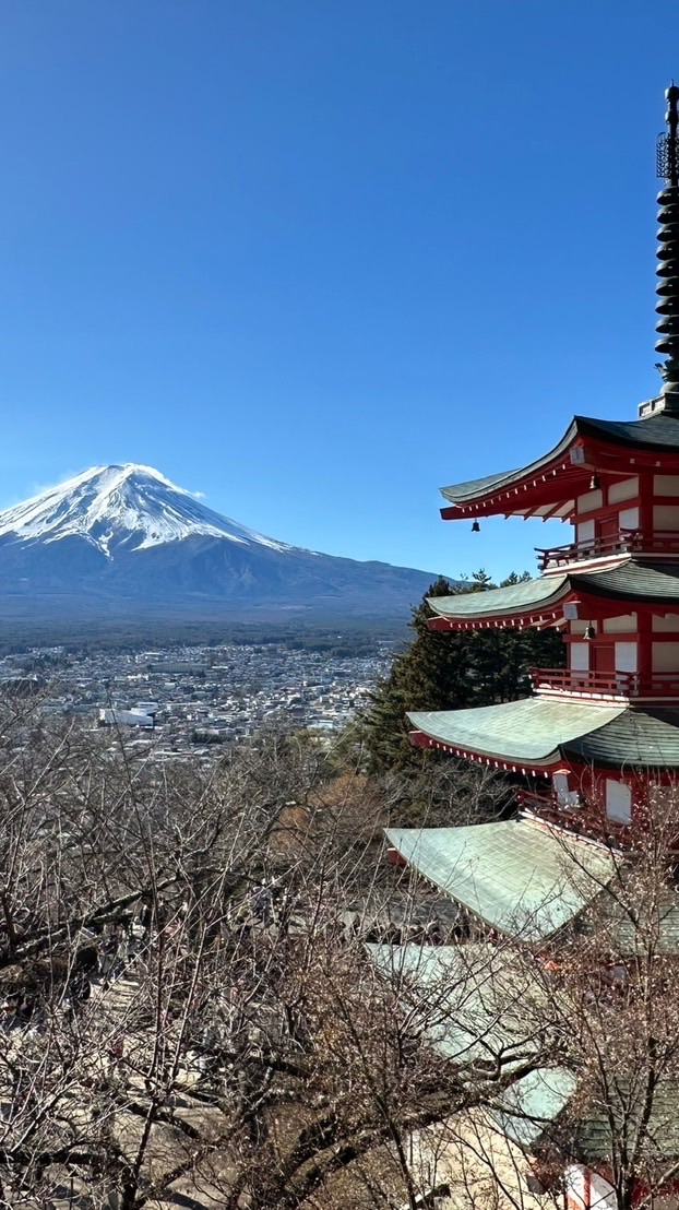 浪漫俱樂部「雙北市」