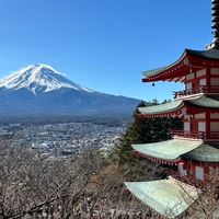 浪漫俱樂部「雙北市」