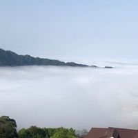 😊中正法學院111級高階主管法律碩專班