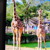 ⭐︎エホバの証人 jw JW 現役　研究生　みんな来てね⭐︎  検索用ものみの塔　聖書　クリスチャン