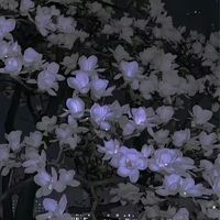 アニメ映画制作