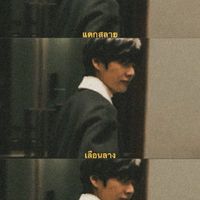 เพื่อนบอท