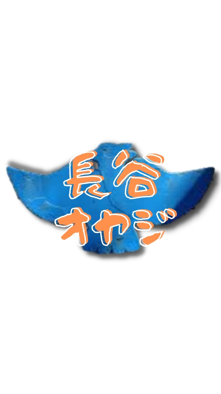 長谷オヤジ オプチャ