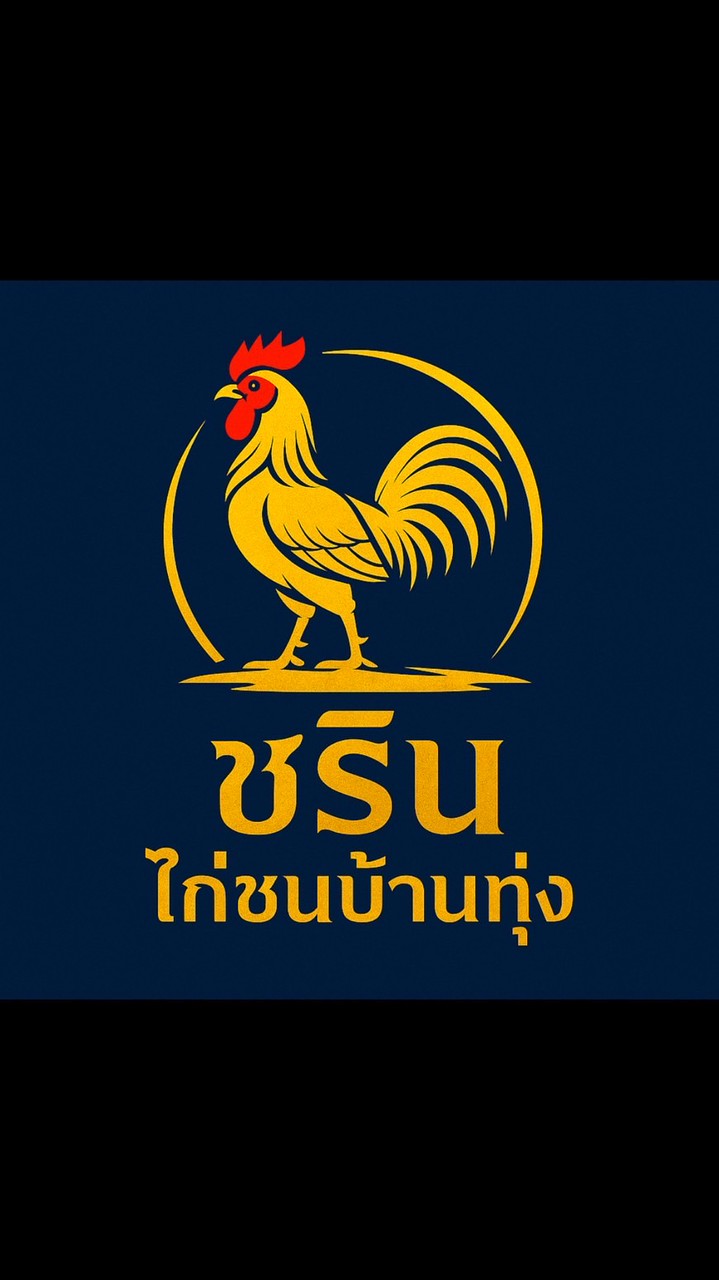 ชรินไก่ชนบ้านทุ่งพะเยา