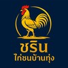 ชรินไก่ชนบ้านทุ่งพะเยา