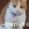 NT派展示会