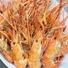 泰國蝦🦐交易平台📍北部地區