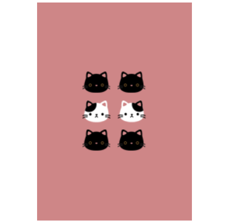 Animal : Black & White Cats