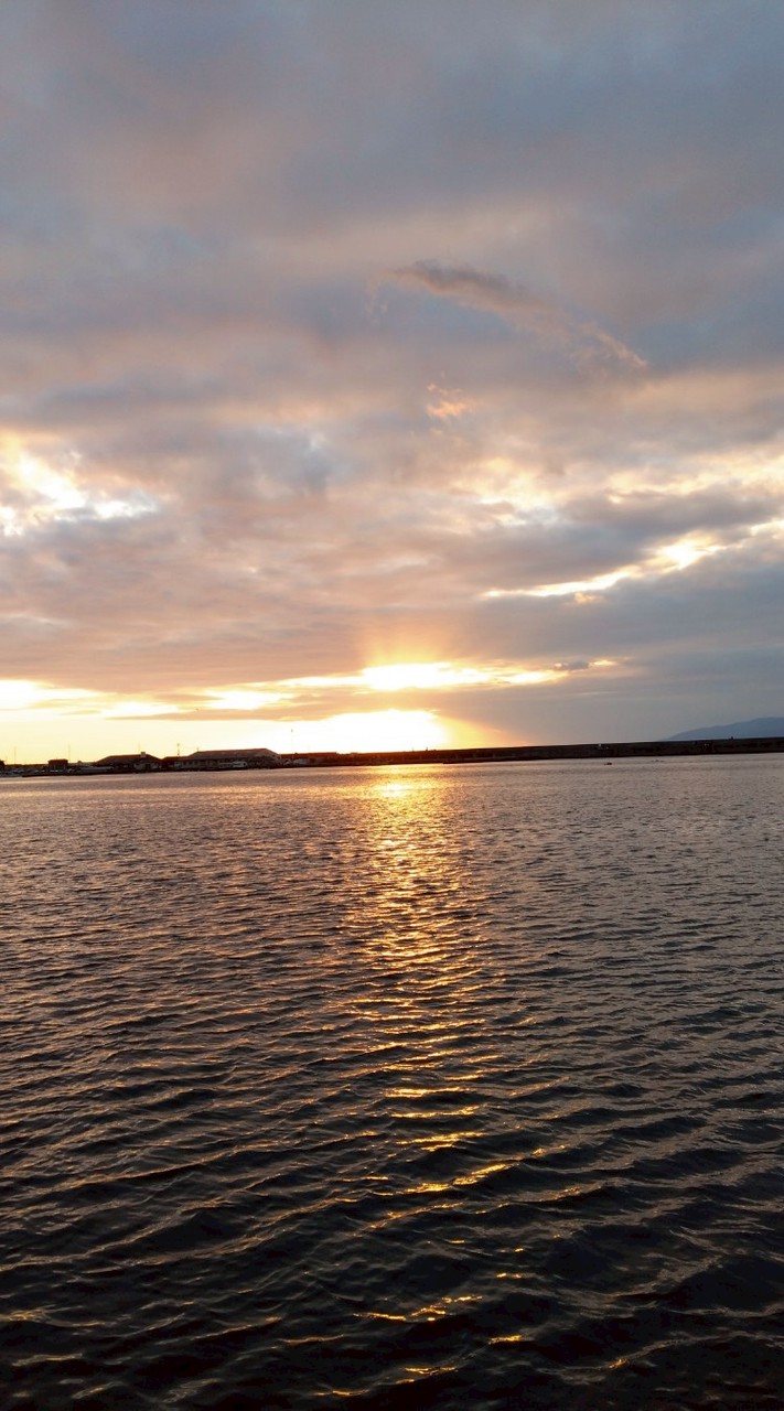 ✨️三脳研 関西発✨️みんなの憩いの場（全地方OK）🍵