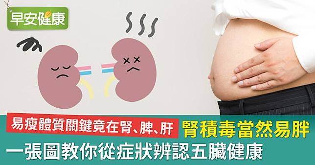 腎積毒當然易胖 一張圖教你從症狀辨認五臟健康 早安健康 Line Today