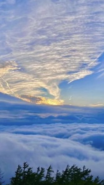 マイクラ映画制作！