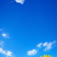 ʚ🌸ɞ大人の雑談40代50代·͜·ᰔ  ᩚ友達からの……心を揺さぶるトークで仲良くしましょᥫᩣ  ̖́-