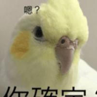 j108功課討論群