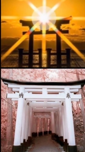 株式投資やFXをワイワイガヤガヤ部屋