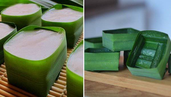 Pembungkus Makanan Tradisional Yang Ramah Lingkungan Opini Stories Line Today