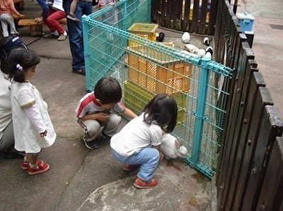 都内 無料で動物ふれあいが楽しめるスポット 乗馬も多数 前編