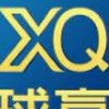 XQ程式選股社群