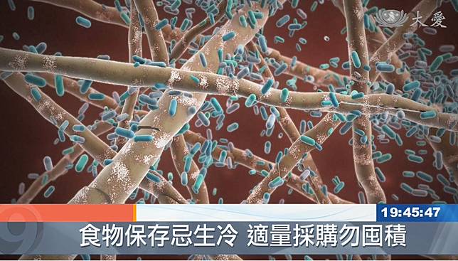 挑戰中橫登山行疑食物中毒8送醫 大愛新聞 Line Today
