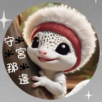 守宮那邊 競標交流群