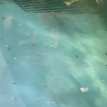 サンピアザ水族館のundefinedに実際訪問訪問したユーザーunknownさんが新しく投稿した新着口コミの写真