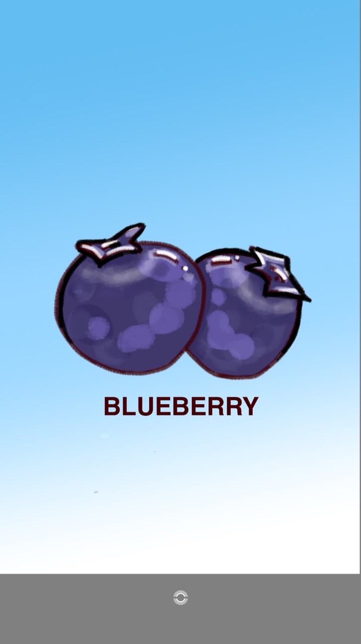 Blueberry藍莓韓國代購🫐