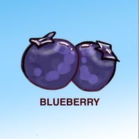 Blueberry藍莓韓國代購🫐