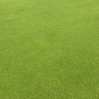 土風舞社群(基隆)