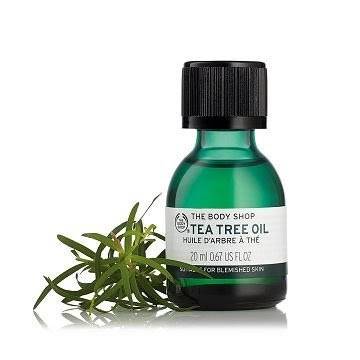 茶樹精油哪裡買？痘痘、濕疹、止癢都可以！人氣茶樹精油推薦Top8 | Line 購物| Line Today