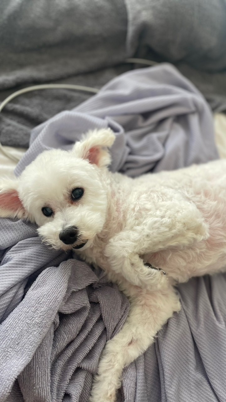 🐾︎💕︎︎🐩熟女連盟グループチャット🐾︎💕︎︎🐩