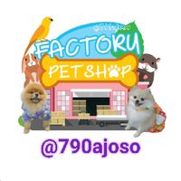 🐶🐈จำหน่ายของใช้สัตว์เลี้ยง PetShop..พรีออเดอร์ / พร้อมส่ง📮