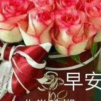 健身瘦身操
