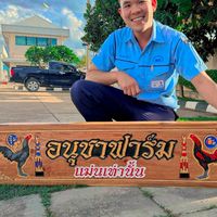 อนุชาฟาร์ม แหล่งพัฒนาไก่เตะใส่