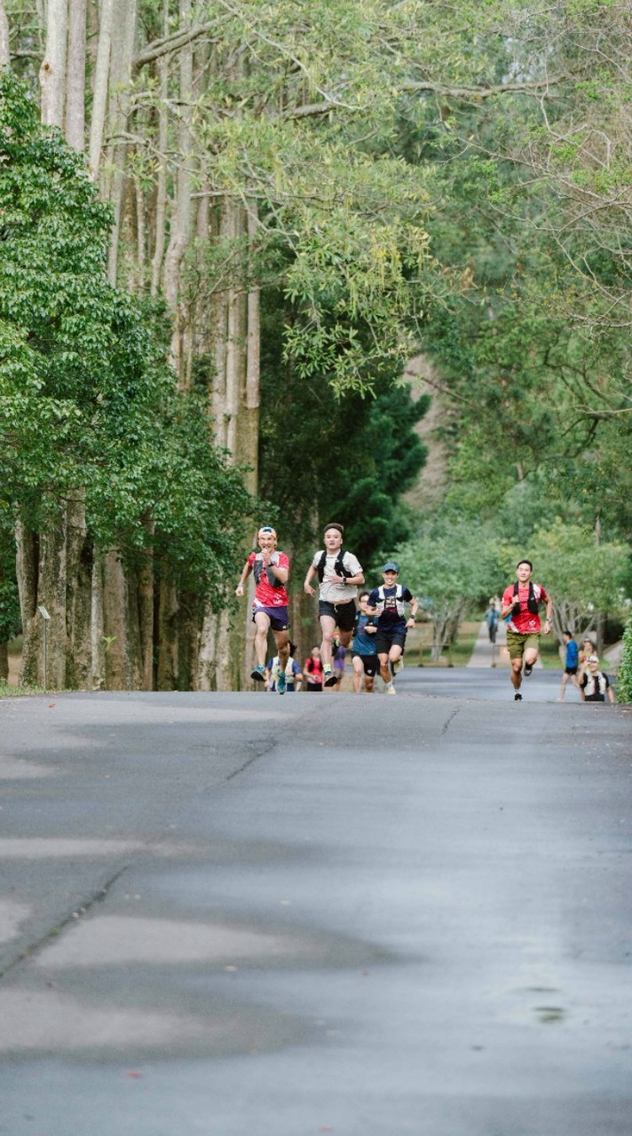 CCS Trail HUB