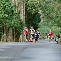 CCS Trail HUB