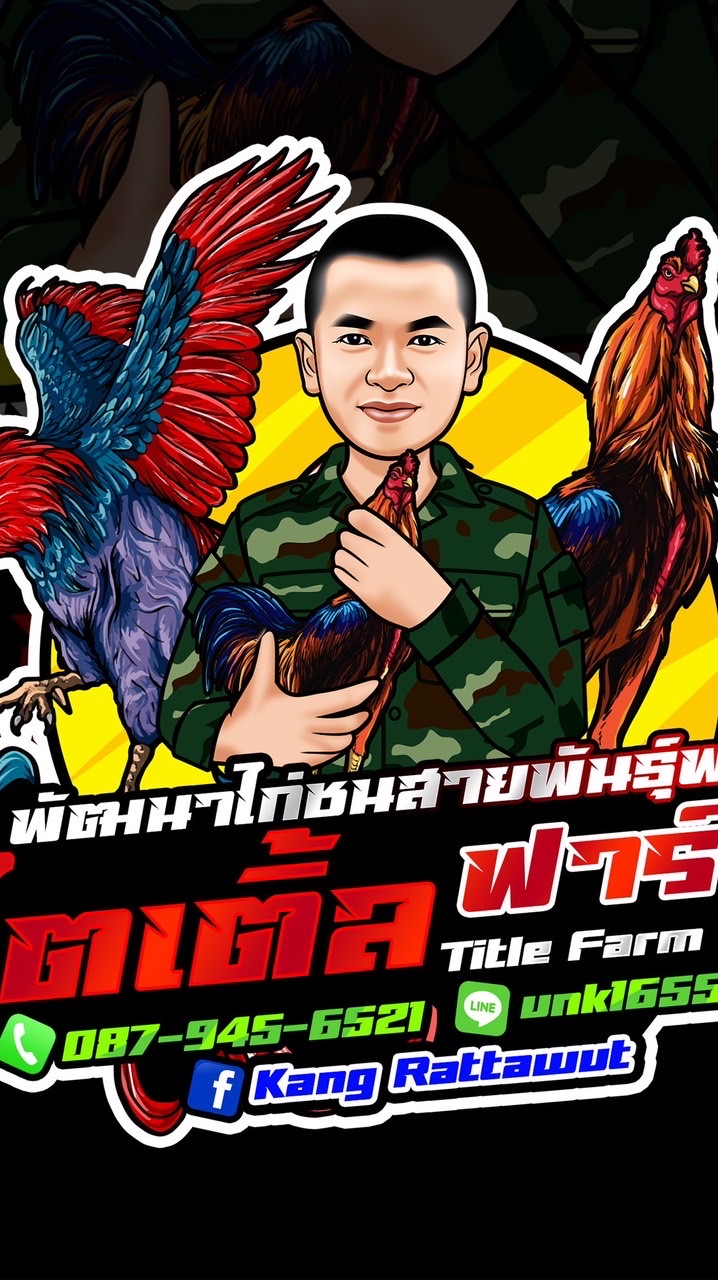 🐔ไตเติ้ลฟาร์ม🐣เพาะพันธุ์ 🐣พัฒนา 🐥ไก่ชนสายพันธุ์พม่า