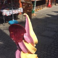 【ソフトクリーム】好きな人集まれ〜🍦✨