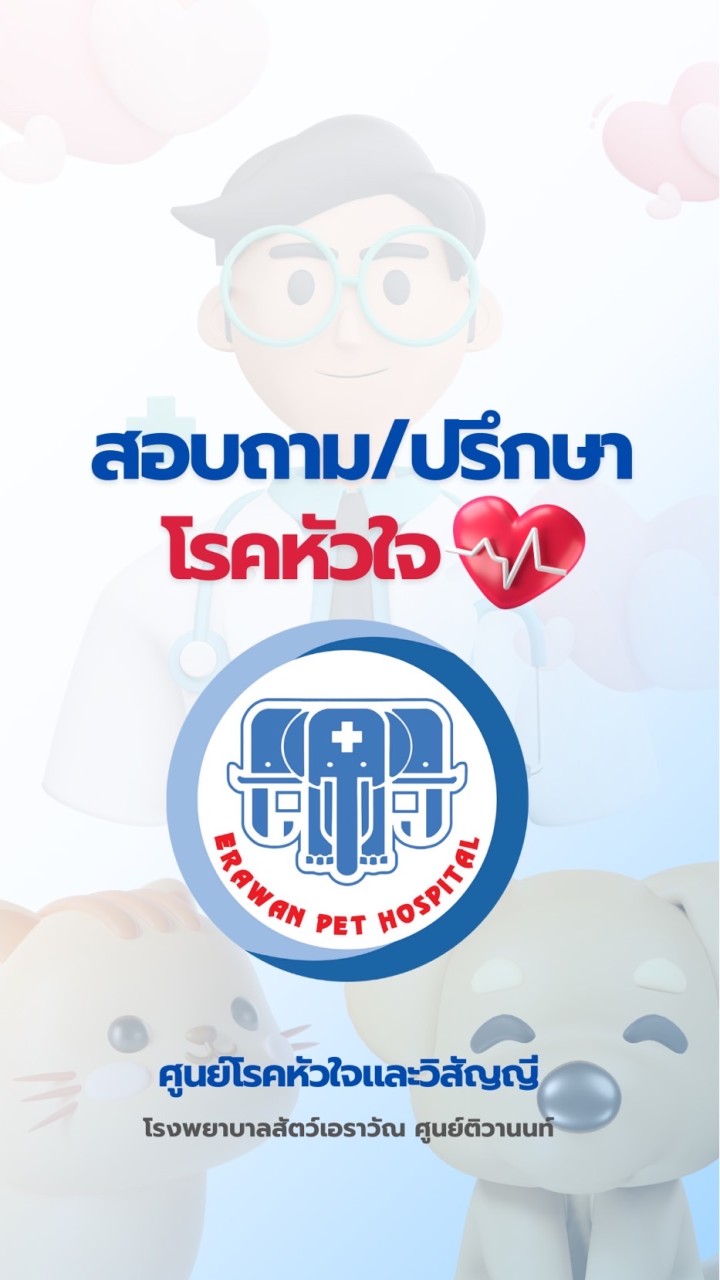 สอบถาม/ปรึกษาโรคหัวใจ❤️ โรงพยาบาลสัตว์ เอราวัณ ศูนย์ติวานนท์