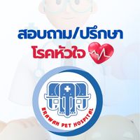 สอบถาม/ปรึกษาโรคหัวใจ❤️ โรงพยาบาลสัตว์ เอราวัณ ศูนย์ติวานนท์