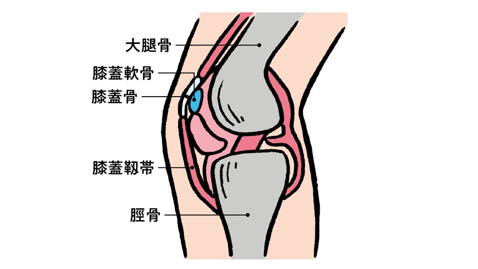 スクワットすると膝が痛い やり方がいけないの 30代男性 ターザンお悩み相談