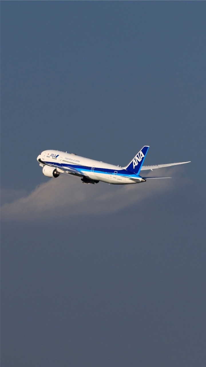 飛行機の写真のみ貼る会【会話NG】