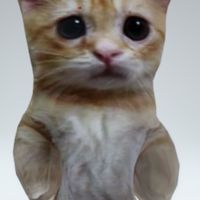 น้องแมวสุดน่ารักกกกกกกกก