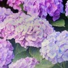 英語一緒に話そう！初心者🔰