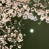 英語一緒に話そう！初心者🔰