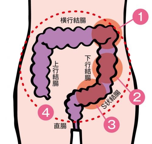 下腹部トントン 大腸押し上げマッサージの方法は 便秘を解消するマッサージ