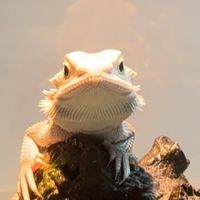 撿便宜爬蟲競標群組