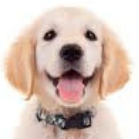 寵物之家聊天群🐶🐶🐶