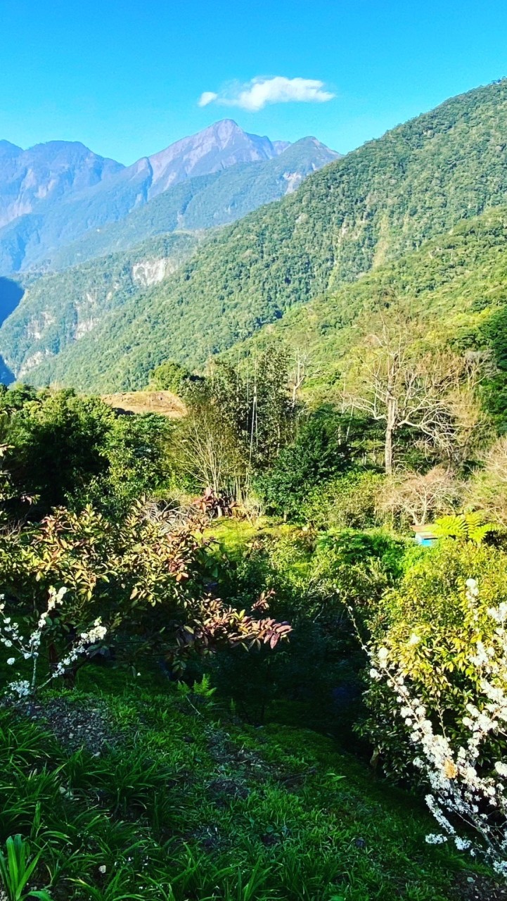 大禮大同部落古道巡禮