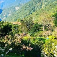 大禮大同部落古道巡禮